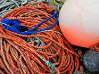 ropes and floats 0813